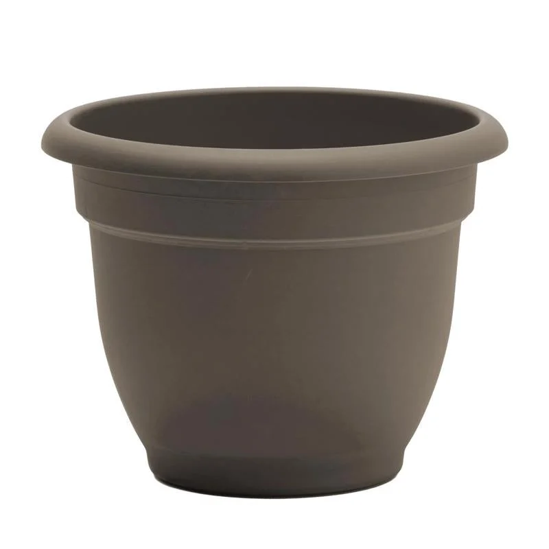 Bloem Ariana 5.25 in. H X 6.5 in. W X 6 in. D Plastic Traditional Planter Peppercorn