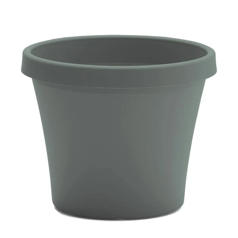 Bloem Terra 12.75 in. H X 15 in. W X 10.25 in. D Plastic Traditional Planter Basil