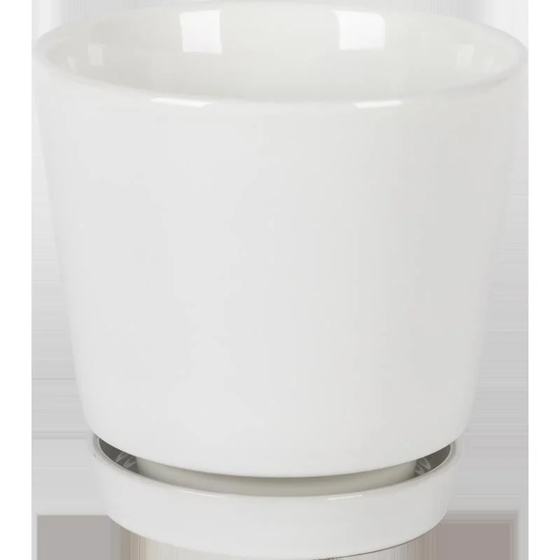 Border Concepts 10 in. D Ceramic Flair Saucer Planter White