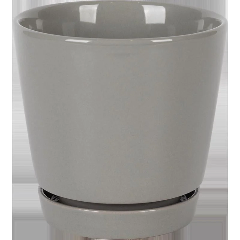 Border Concepts 4.5 in. D Ceramic Flair Saucer Planter Grey